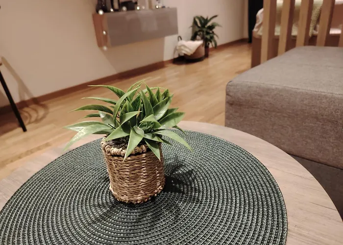 Harmony Dream Jagodina